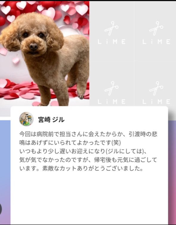 画像に alt 属性が指定されていません。ファイル名: 2024.02.25.jpeg